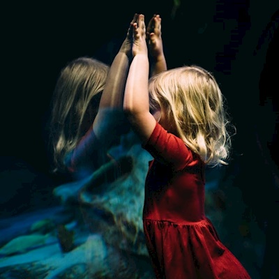 Zihinsel Eğitim Programı